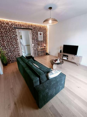 Appartement Cosy et accueillant